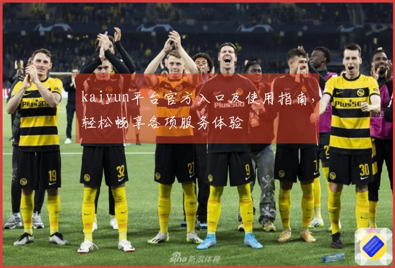 kaiyun平台官方入口及使用指南，轻松畅享各项服务体验