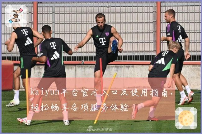 kaiyun平台官方入口及使用指南，轻松畅享各项服务体验